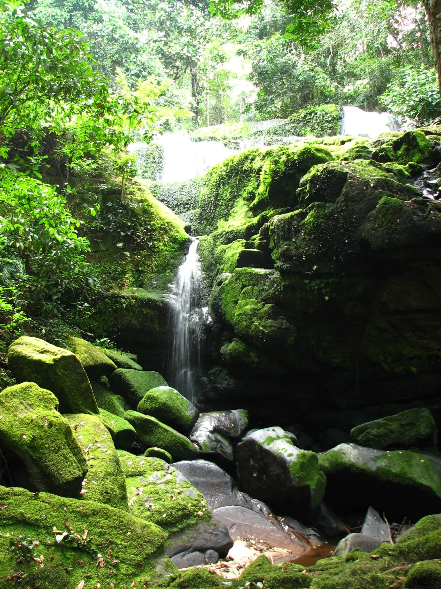 Small waterfall between moss covered rocks in the forest