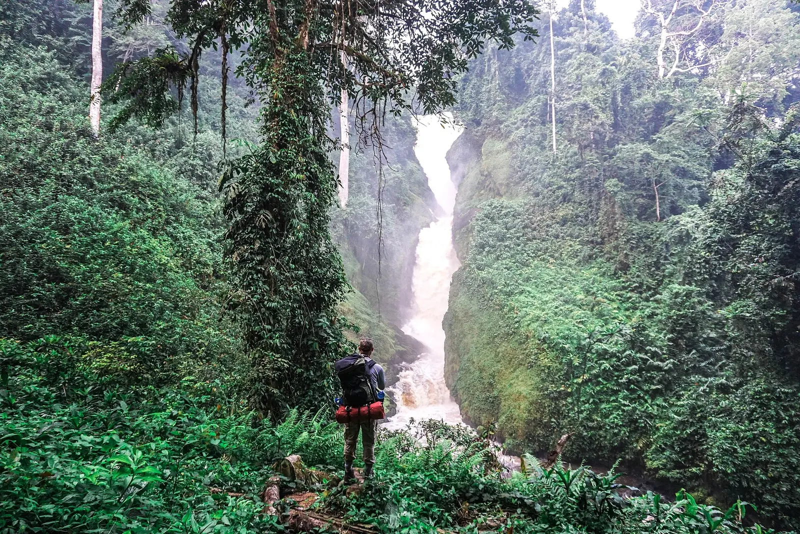 A narrow waterfall dropping between vegetation covered walls, with a hiker in the foreground