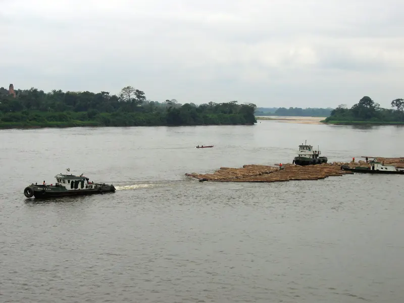 Timber logs float on the Ogooué river before being transported on from Lambaréné