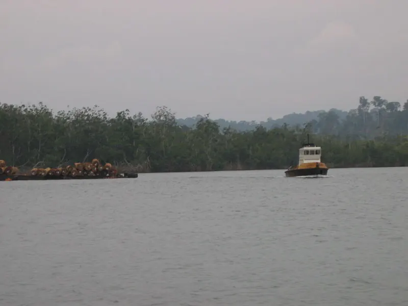 Un remorqueur tire un train de grumes sur les eaux calmes de la lagune Banio, bordée de mangrove, à Mayumba