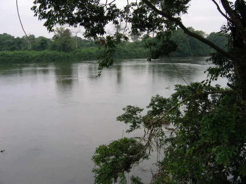 La Ngounié coulant entre des rives boisées à Mouila